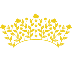 numérologie cours privé pro, numérologie professionnelle